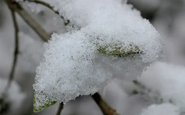Details bieten ebenfalls schöne Fotomotive