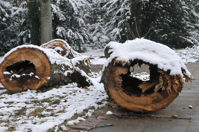 Details bieten ebenfalls schöne Fotomotive