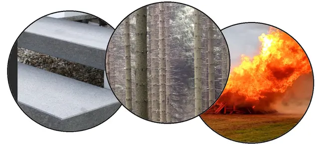 Nicole - 1 Punkt -  Waldbrandstufe