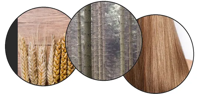 Gudrun - 1 Punkt - Waldhaargerste