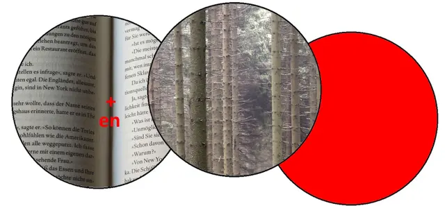 Iris - 1 Punkt - Rotbuchenwald