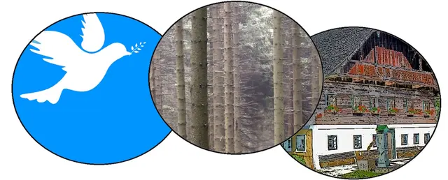 Gudrun - 1 Punkt - Waldfriedhof