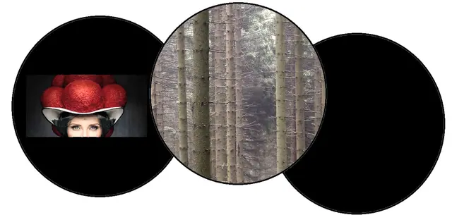 Iris - 1 Punkt - Schwarzwaldmädel