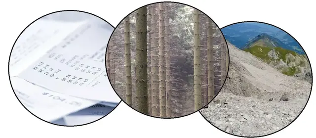 Gudrun - 1 Punkt -  Karbonwald