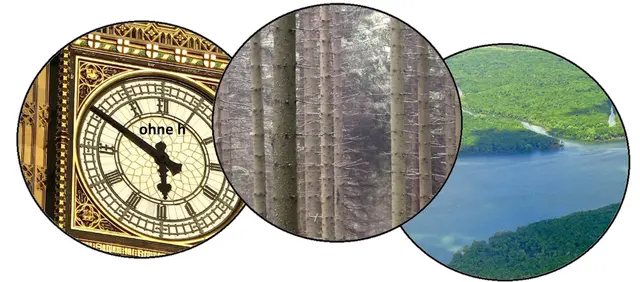 Nicole - 1 Punkt - Urwaldamazonas