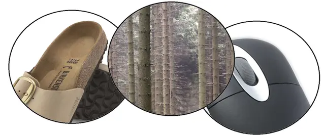 Nicole - 1 Punkt - Waldbirkenmaus