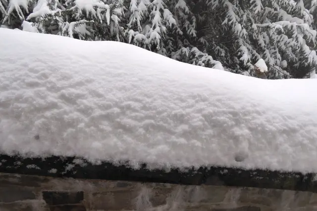 Sonntagsbilder 2026-06, Vor dem Fenster, 04.02.2026.