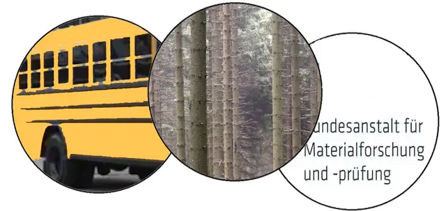 Gudrun - 1 Punkt - Bambuswald