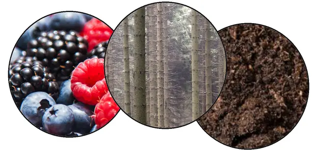 Nicole  1 Punkt - Walderdbeeren