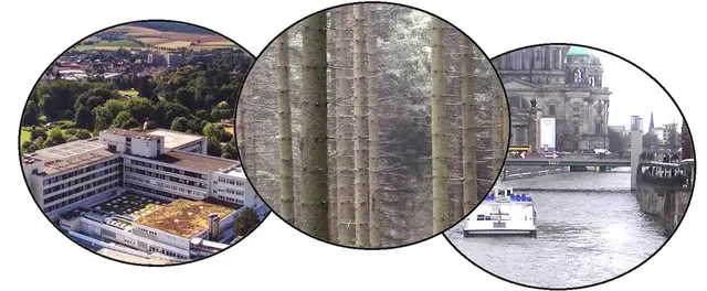 Nicole - 1 Punkt - Spreewaldklinik