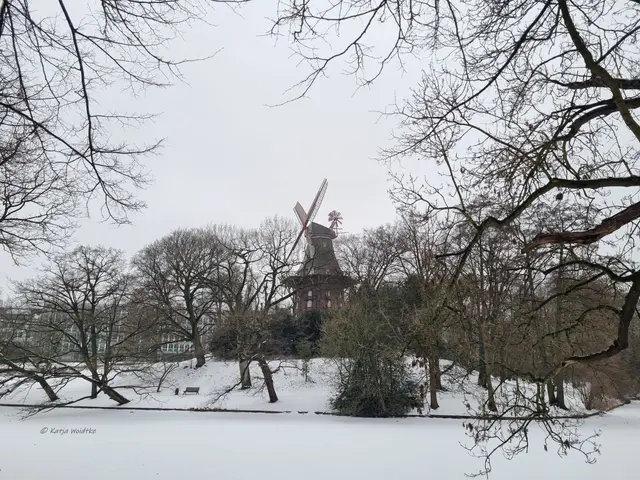 Mühlen in Deutschland (Foto: Katja Woidtke)

Schneelandschaft an der Bremer Mühle am Wall | Foto: Foto: Katja Woidtke