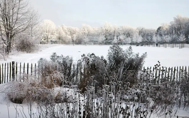 Einfach nur schön | Foto: Shima Mahi