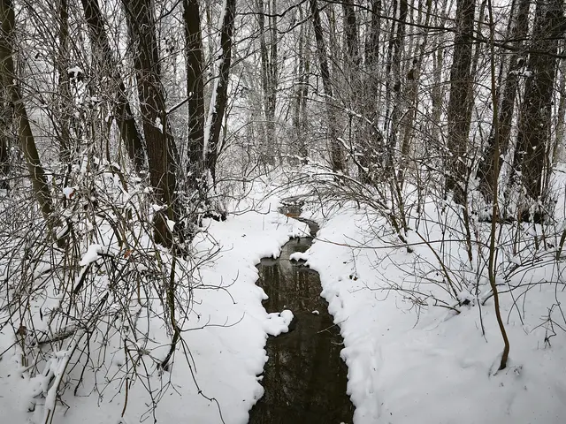 Graben in der anderen Richtung | Foto: Shima Mahi