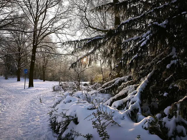 Sonne und Schnee sind ein tolles Duo.  | Foto: Shima Mahi