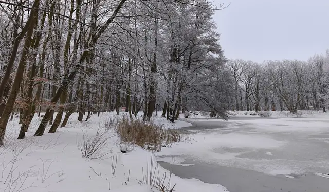 Die Eisfläche ist noch zu dünn. | Foto: Shima Mahi