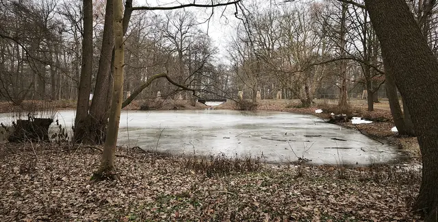 Kurze Schneepause im Park | Foto: Shima Mahi