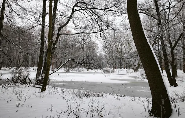 Eisdecke auf den Teichen | Foto: Shima Mahi