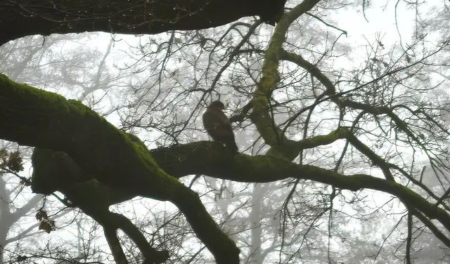 Im Gegenlicht | Foto: Shima Mahi