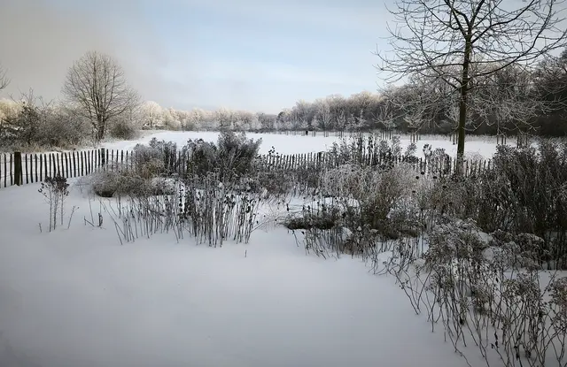 Winterzauber pur mit etwas Sonne | Foto: Shima Mahi