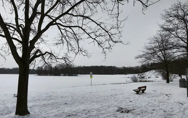 Blick auf den Silbersee-Rodelberg | Foto: Shima Mahi