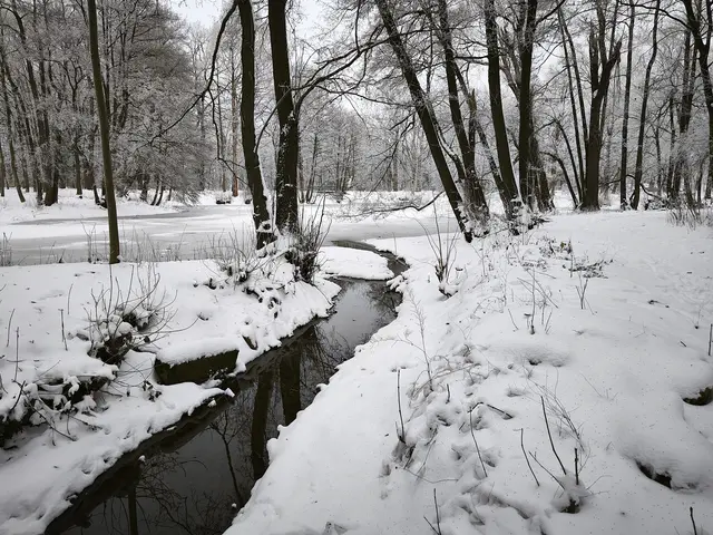 Graben im Stadtpark | Foto: Shima Mahi