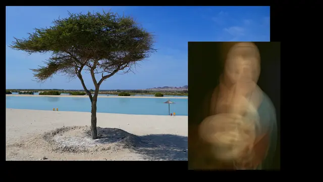 Nicole - 1 Punkt - Leonardo Da Vinci, Dame mit Hermelin