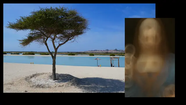 Gudrun - 1 Punkt - Leonardo da Vinci  Salvator mundi 