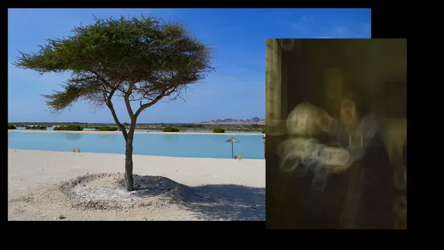Nicole - 1 Punkt -  Vermeer, Der Astronom
