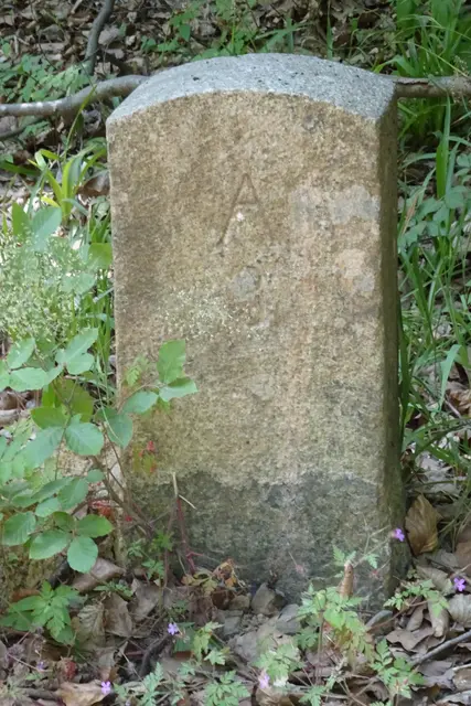 alter Grenzstein Anhalt - Preußen