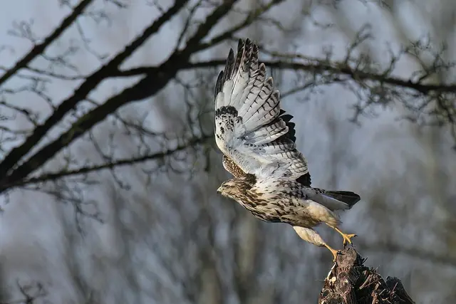 Foto: Copyright Andreas Schäfer