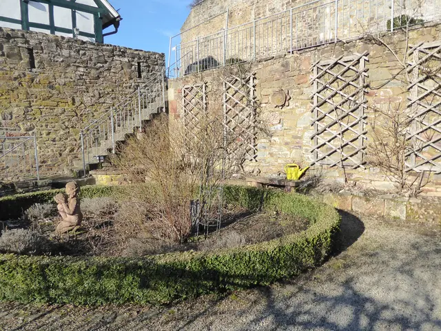 Rosengarten 2026-07, 15.02.2026.