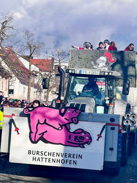 Friedberger Familienfasching 2026 - Impressionen vom Faschingsumzug | Foto: Franz Reißner