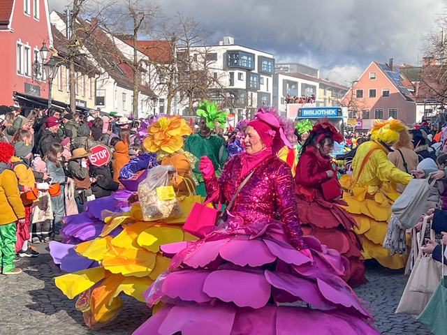 Friedberger Familienfasching 2026 - Impressionen vom Faschingsumzug | Foto: Franz Reißner