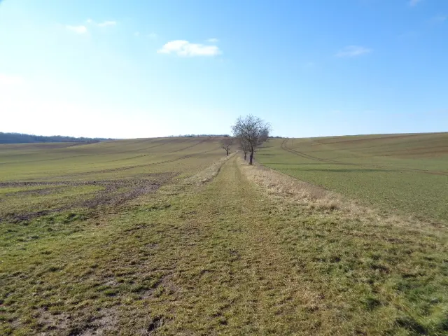 Rückweg nach Brücken