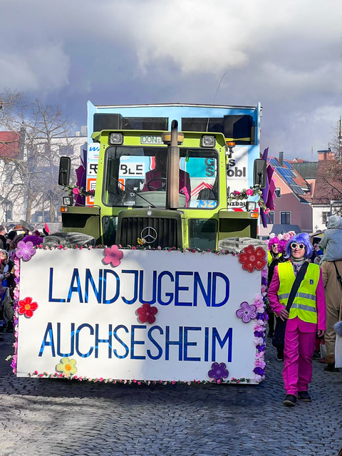 Friedberger Familienfasching 2026 - Impressionen vom Faschingsumzug | Foto: Franz Reißner