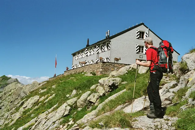 Dort oben kann man in der Glecksteinhütte einkehren oder übernachten. Der Hüttenwirt lockt die Steinböcke mit Salz an, für die Tiere ein wichtiges Mineral. | Foto: Kurt Wolter