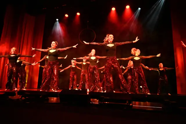 Die Showtanzgruppe des TSV Firnhaberau bot wiederum eine phantastische Show unter dem Motto "Mafia"