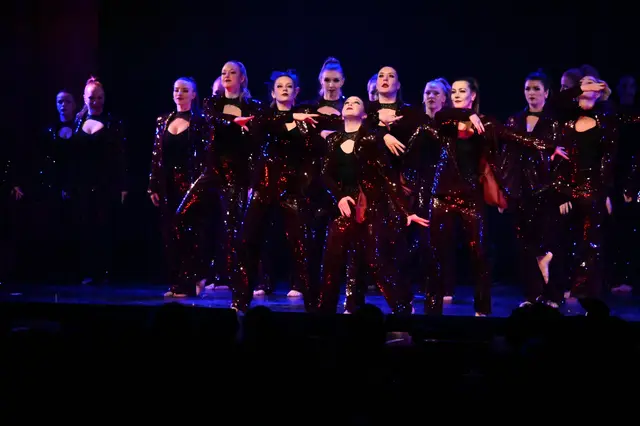 Die Showtanzgruppe des TSV Firnhaberau bot wiederum eine phantastische Show unter dem Motto "Mafia"