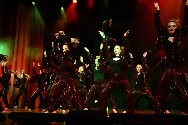 Die Showtanzgruppe des TSV Firnhaberau bot wiederum eine phantastische Show unter dem Motto "Mafia"