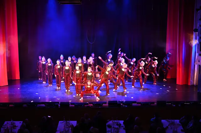 Die Showtanzgruppe des TSV Firnhaberau bot wiederum eine phantastische Show unter dem Motto "Mafia"