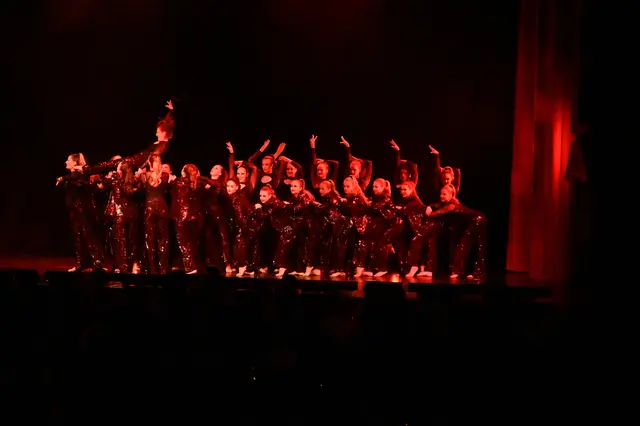 Die Showtanzgruppe des TSV Firnhaberau bot wiederum eine phantastische Show unter dem Motto "Mafia"