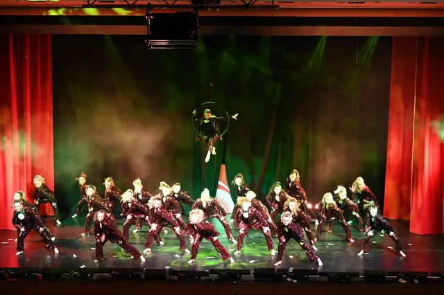 Die Showtanzgruppe des TSV Firnhaberau bot wiederum eine phantastische Show unter dem Motto "Mafia"