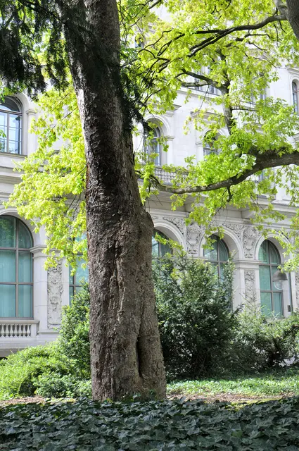 auch das frische Grün der Bäume ist es wert, fotografiert zu werden