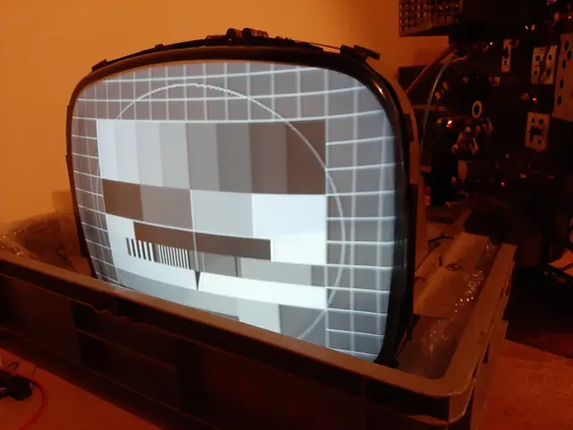 Das Testbild - wenn es so ausschaut ist die Restaurierung des Fernsehteils schon auf dem Endspurt. | Foto: Englmeier