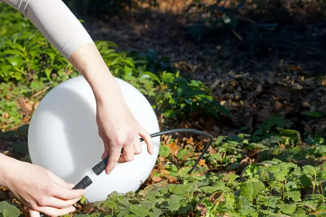 Die Leuchten von Steinel sind dank Plug &amp; Play-System einfach zu installieren.
 | Foto: djd-k/Steinel