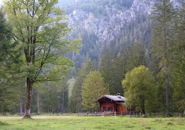 Dort, wo selbst die Stille vertraut nach Heimat klingt 