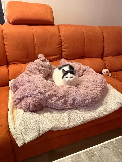 Sissi | Foto: privat