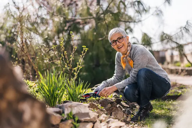 Foto: bnenin/stock.adobe.com