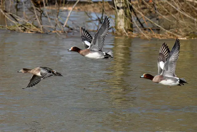 Foto: Copyright Andreas Schäfer