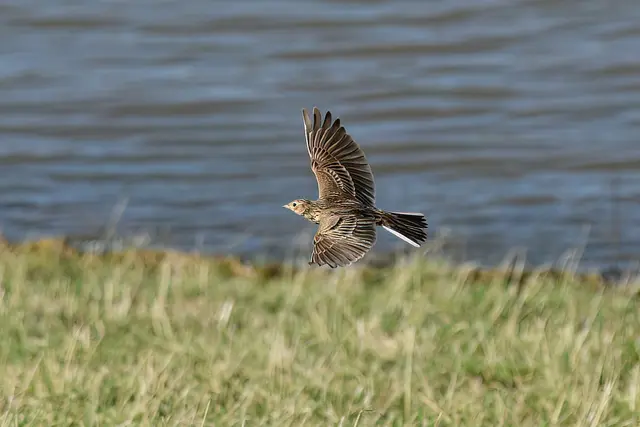 Foto: Copyright Andreas Schäfer